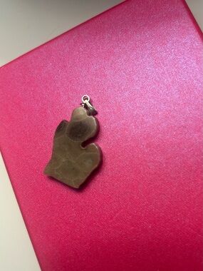 Official Petosky Michigan stone pendant. No chain included.